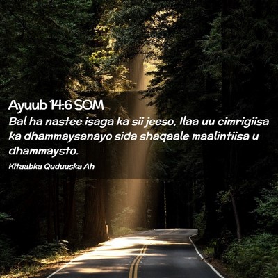 Picture 02 - Ayuub 14:6 SOM - Bal ha nastee isaga ka sii jeeso, Ilaa uu - Bible Verse Picture