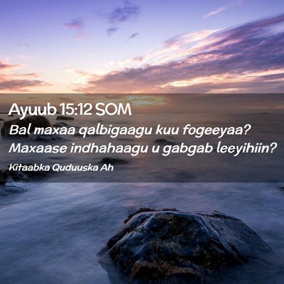 Picture 02 - Ayuub 15:12 SOM - Bal maxaa qalbigaagu kuu fogeeyaa? Maxaase - Bible Verse Picture