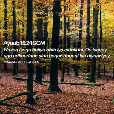 Picture 02 - Ayuub 15:24 SOM - Waxaa isaga bajiya dhib iyo cidhiidhi, Oo isagay - Bible Verse Picture