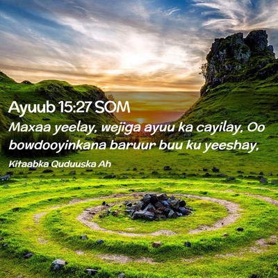 Picture 02 - Ayuub 15:27 SOM - Maxaa yeelay, wejiga ayuu ka cayilay, Oo - Bible Verse Picture