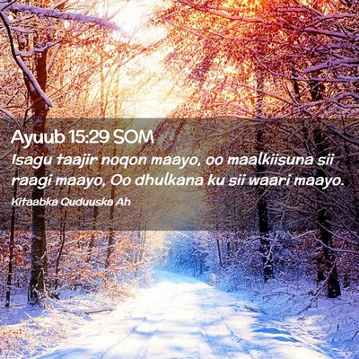 Picture 02 - Ayuub 15:29 SOM - Isagu taajir noqon maayo, oo maalkiisuna sii - Bible Verse Picture