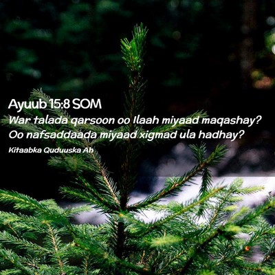 Picture 02 - Ayuub 15:8 SOM - War talada qarsoon oo Ilaah miyaad maqashay? Oo - Bible Verse Picture