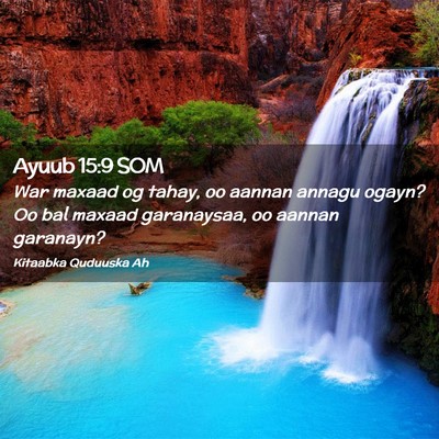 Picture 02 - Ayuub 15:9 SOM - War maxaad og tahay, oo aannan annagu ogayn? Oo - Bible Verse Picture