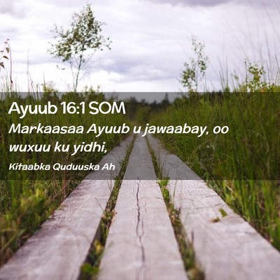 Picture 02 - Ayuub 16:1 SOM - Markaasaa Ayuub u jawaabay, oo wuxuu ku - Bible Verse Picture