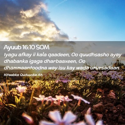 Picture 02 - Ayuub 16:10 SOM - Iyagu afkay ii kala qaadeen, Oo quudhsasho ayay - Bible Verse Picture