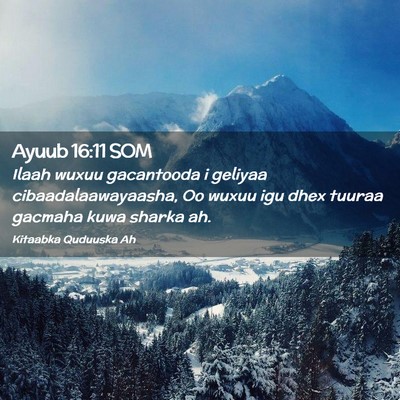 Picture 02 - Ayuub 16:11 SOM - Ilaah wuxuu gacantooda i geliyaa - Bible Verse Picture