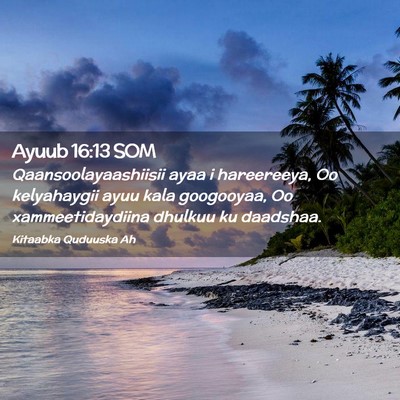 Picture 02 - Ayuub 16:13 SOM - Qaansoolayaashiisii ayaa i hareereeya, Oo - Bible Verse Picture
