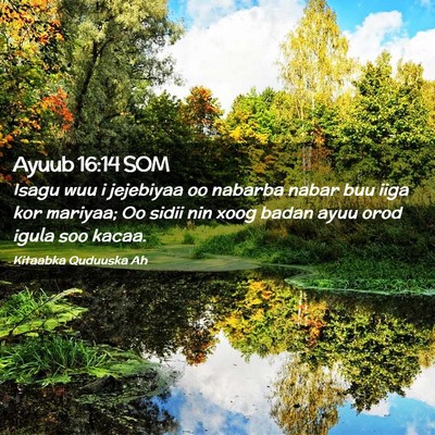 Picture 02 - Ayuub 16:14 SOM - Isagu wuu i jejebiyaa oo nabarba nabar buu iiga - Bible Verse Picture
