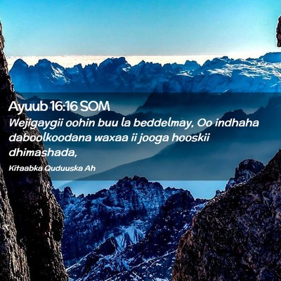 Picture 02 - Ayuub 16:16 SOM - Wejigaygii oohin buu la beddelmay, Oo indhaha - Bible Verse Picture