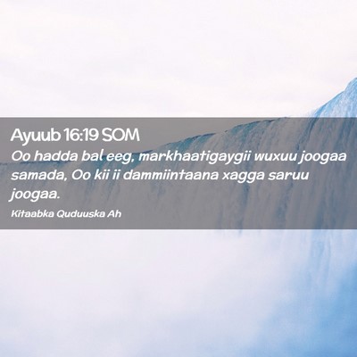 Picture 02 - Ayuub 16:19 SOM - Oo hadda bal eeg, markhaatigaygii wuxuu joogaa - Bible Verse Picture