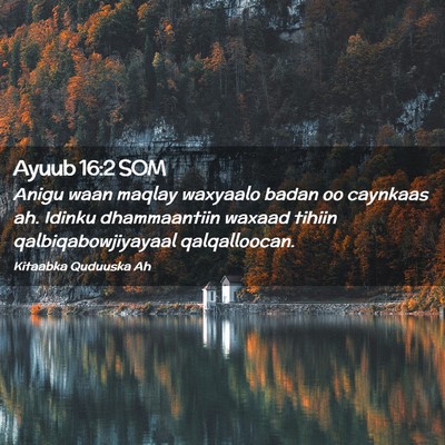 Picture 02 - Ayuub 16:2 SOM - Anigu waan maqlay waxyaalo badan oo caynkaas ah. - Bible Verse Picture