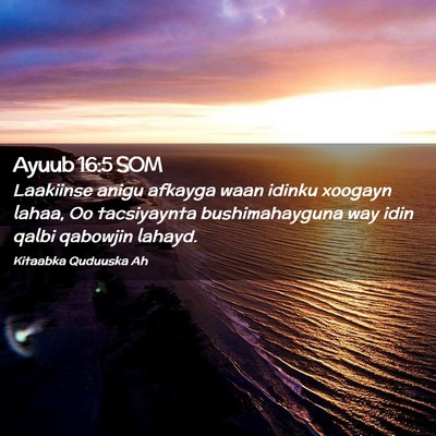 Picture 02 - Ayuub 16:5 SOM - Laakiinse anigu afkayga waan idinku xoogayn - Bible Verse Picture