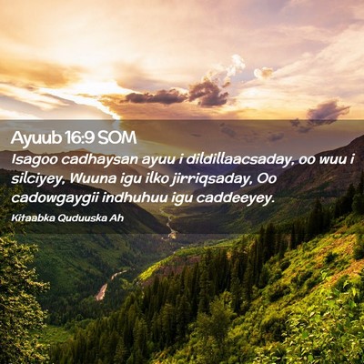 Picture 02 - Ayuub 16:9 SOM - Isagoo cadhaysan ayuu i dildillaacsaday, oo wuu i - Bible Verse Picture