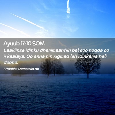 Picture 02 - Ayuub 17:10 SOM - Laakiinse idinku dhammaantiin bal soo noqda oo ii - Bible Verse Picture