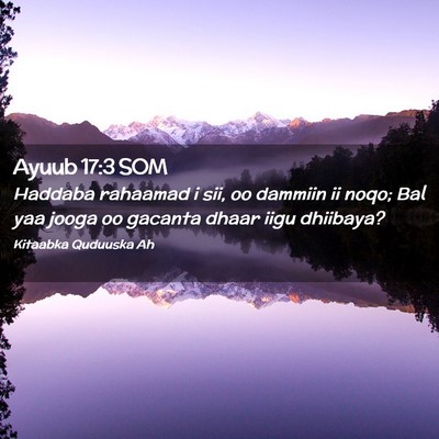 Picture 02 - Ayuub 17:3 SOM - Haddaba rahaamad i sii, oo dammiin ii noqo; Bal - Bible Verse Picture