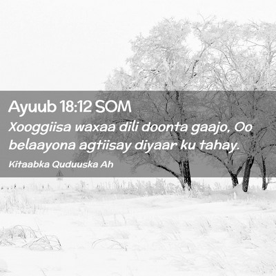 Picture 02 - Ayuub 18:12 SOM - Xooggiisa waxaa dili doonta gaajo, Oo belaayona - Bible Verse Picture