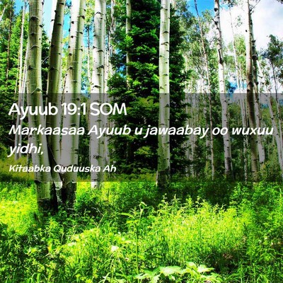 Picture 02 - Ayuub 19:1 SOM - Markaasaa Ayuub u jawaabay oo wuxuu - Bible Verse Picture
