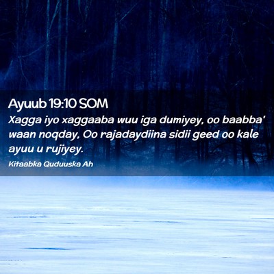 Picture 02 - Ayuub 19:10 SOM - Xagga iyo xaggaaba wuu iga dumiyey, oo baabba' - Bible Verse Picture
