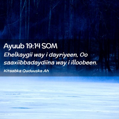 Picture 02 - Ayuub 19:14 SOM - Ehelkaygii way i dayriyeen, Oo saaxiibbadaydiina - Bible Verse Picture