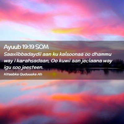 Picture 02 - Ayuub 19:19 SOM - Saaxiibbadaydii aan ku kalsoonaa oo dhammu way i - Bible Verse Picture