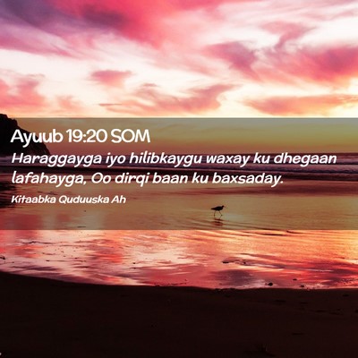 Picture 02 - Ayuub 19:20 SOM - Haraggayga iyo hilibkaygu waxay ku dhegaan - Bible Verse Picture