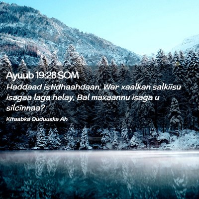 Picture 02 - Ayuub 19:28 SOM - Haddaad istidhaahdaan, War xaalkan salkiisu - Bible Verse Picture