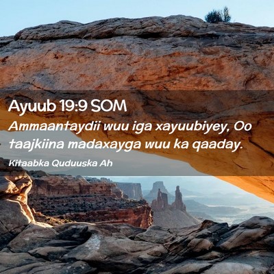 Picture 02 - Ayuub 19:9 SOM - Ammaantaydii wuu iga xayuubiyey, Oo taajkiina - Bible Verse Picture
