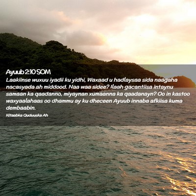 Picture 02 - Ayuub 2:10 SOM - Laakiinse wuxuu iyadii ku yidhi, Waxaad u - Bible Verse Picture