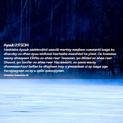 Picture 02 - Ayuub 2:11 SOM - Haddaba Ayuub saddexdiisii saaxiib markay maqleen - Bible Verse Picture