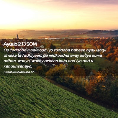 Picture 02 - Ayuub 2:13 SOM - Oo toddoba maalmood iyo toddoba habeen ayay - Bible Verse Picture