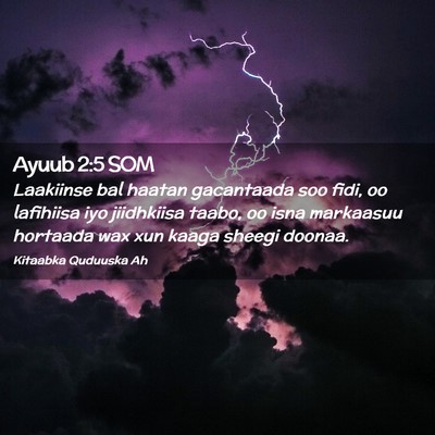Picture 02 - Ayuub 2:5 SOM - Laakiinse bal haatan gacantaada soo fidi, oo - Bible Verse Picture