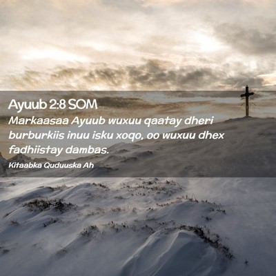 Picture 02 - Ayuub 2:8 SOM - Markaasaa Ayuub wuxuu qaatay dheri burburkiis - Bible Verse Picture