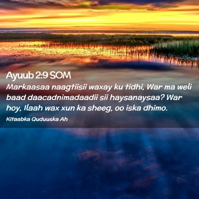 Picture 02 - Ayuub 2:9 SOM - Markaasaa naagtiisii waxay ku tidhi, War ma weli - Bible Verse Picture