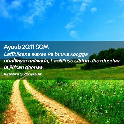 Picture 02 - Ayuub 20:11 SOM - Lafihiisana waxaa ka buuxa xoogga - Bible Verse Picture