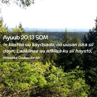 Picture 02 - Ayuub 20:13 SOM - In kastoo uu kaydsado, oo uusan iska sii dayn, - Bible Verse Picture