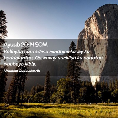 Picture 02 - Ayuub 20:14 SOM - Kolleyba cuntadiisu mindhicirkiisay ku - Bible Verse Picture