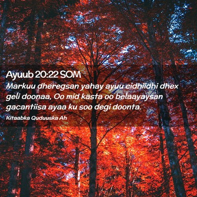 Picture 02 - Ayuub 20:22 SOM - Markuu dheregsan yahay ayuu cidhiidhi dhex geli - Bible Verse Picture