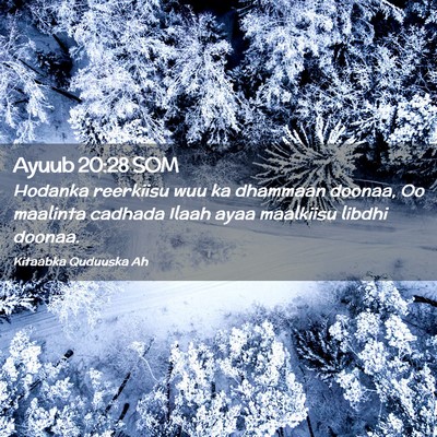 Picture 02 - Ayuub 20:28 SOM - Hodanka reerkiisu wuu ka dhammaan doonaa, Oo - Bible Verse Picture