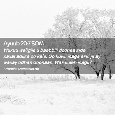 Picture 02 - Ayuub 20:7 SOM - Wuxuu weligiis u baabbi'i doonaa sida saxaradiisa - Bible Verse Picture