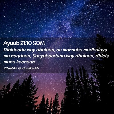 Picture 02 - Ayuub 21:10 SOM - Dibidoodu way dhalaan, oo marnaba madhalays ma - Bible Verse Picture