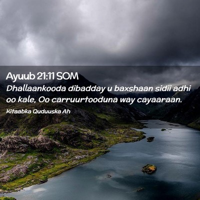 Picture 02 - Ayuub 21:11 SOM - Dhallaankooda dibadday u baxshaan sidii adhi oo - Bible Verse Picture