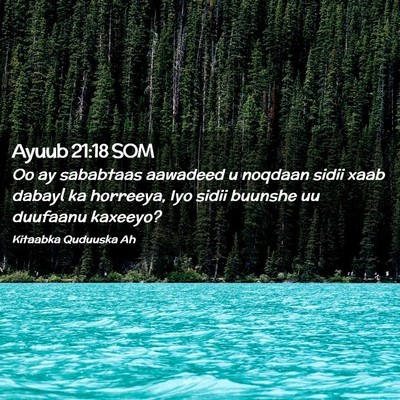 Picture 02 - Ayuub 21:18 SOM - Oo ay sababtaas aawadeed u noqdaan sidii xaab - Bible Verse Picture