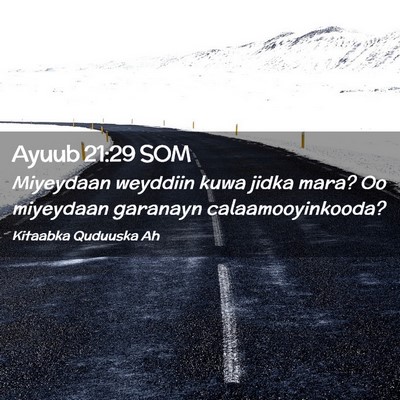Picture 02 - Ayuub 21:29 SOM - Miyeydaan weyddiin kuwa jidka mara? Oo miyeydaan - Bible Verse Picture