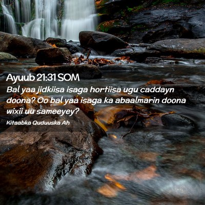Picture 02 - Ayuub 21:31 SOM - Bal yaa jidkiisa isaga hortiisa ugu caddayn - Bible Verse Picture
