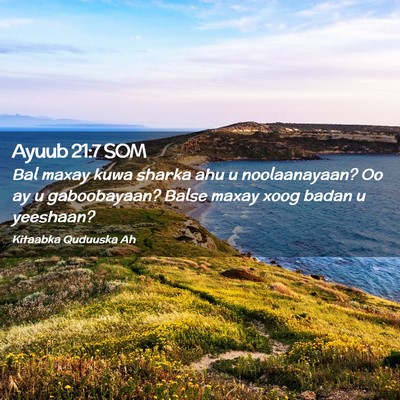 Picture 02 - Ayuub 21:7 SOM - Bal maxay kuwa sharka ahu u noolaanayaan? Oo ay u - Bible Verse Picture