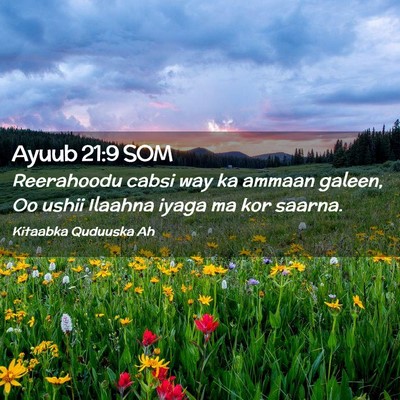 Picture 02 - Ayuub 21:9 SOM - Reerahoodu cabsi way ka ammaan galeen, Oo ushii - Bible Verse Picture