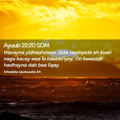 Picture 02 - Ayuub 22:20 SOM - Waxayna yidhaahdaan, Sida xaqiiqada ah kuwii nagu - Bible Verse Picture