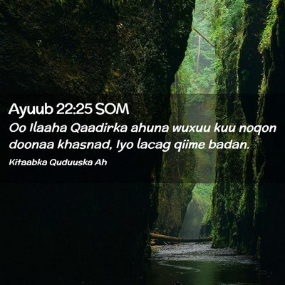 Picture 02 - Ayuub 22:25 SOM - Oo Ilaaha Qaadirka ahuna wuxuu kuu noqon doonaa - Bible Verse Picture