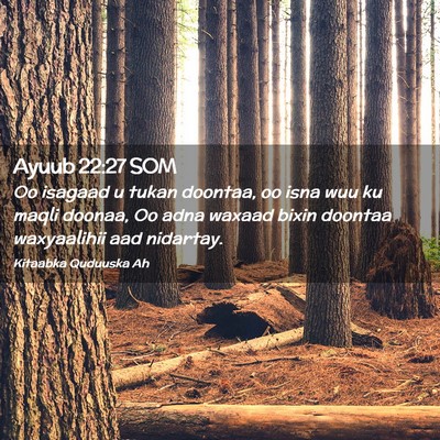 Picture 02 - Ayuub 22:27 SOM - Oo isagaad u tukan doontaa, oo isna wuu ku maqli - Bible Verse Picture