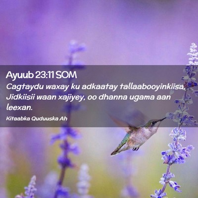 Picture 02 - Ayuub 23:11 SOM - Cagtaydu waxay ku adkaatay tallaabooyinkiisa, - Bible Verse Picture